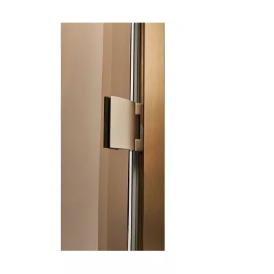цена Дверь стеклянная — бронза, бронзовый профиль, 9х21 (880*2090)