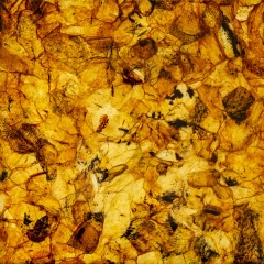 Плитка из янтаря для бани