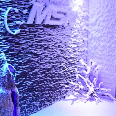 PREMIUM Snow Room V2 в Ярославле