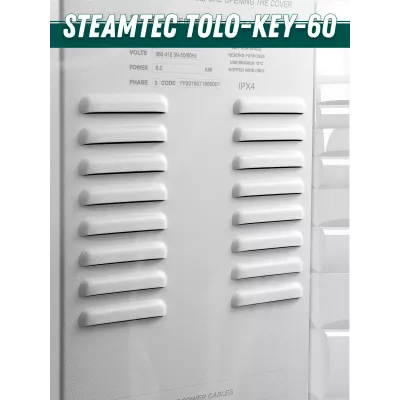 Steamtec TOLO KEY 60 - 6 кВт (ВЛАГОСТОЙКИЙ модуль управления), парогенератор для хамама и турецкой бани