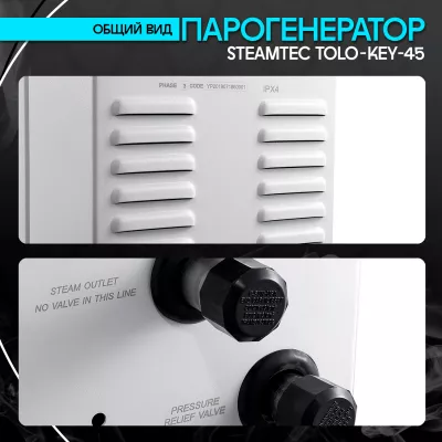 Steamtec TOLO KEY 45 - 4.5 кВт (стандартный модуль управления), парогенератор для хамама и турецкой бани