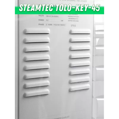 Steamtec TOLO KEY 45 - 4.5 кВт (ВЛАГОСТОЙКИЙ модуль управления), парогенератор для хамама и турецкой бани