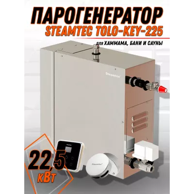 Steamtec TOLO KEY 225 - 22,5 кВт (ВЛАГОСТОЙКИЙ модуль управления), парогенератор для хамама и турецкой бани