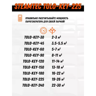 Steamtec TOLO KEY 225 - 22,5 кВт (ВЛАГОСТОЙКИЙ модуль управления), парогенератор для хамама и турецкой бани