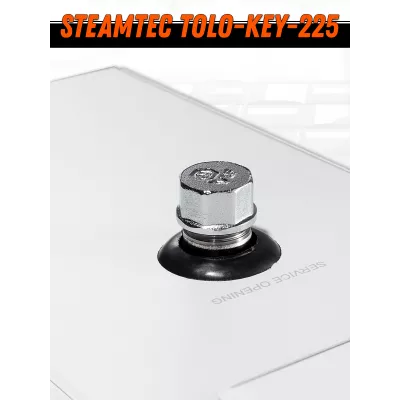 Steamtec TOLO KEY 225 - 22,5 кВт (ВЛАГОСТОЙКИЙ модуль управления), парогенератор для хамама и турецкой бани