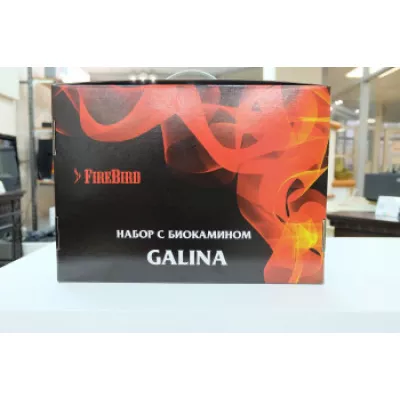 Kratki Набор с биокамином GALINA, биотопливом (1.5л.), зажигалкой фото