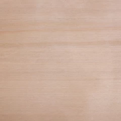 Подспинник (Хемлок)