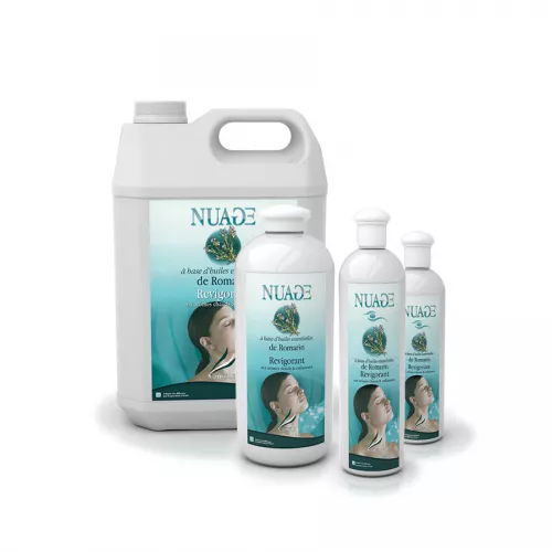 Розмарин для помещений 500