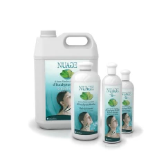 Эвкалипт / Мята для помещений 500