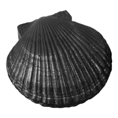 КЧР-2 Ракушка большая