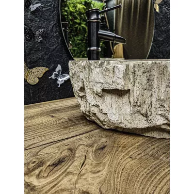 Раковина из окаменелого дерева Аксессуары фото