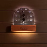 Термогигрометр PREMIO с подсветкой, Арт. 635