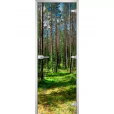 Стеклянная межкомнатная дверь Forest-03