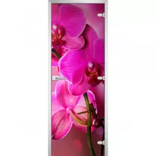 Стеклянная межкомнатная дверь Flowers-19