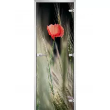Стеклянная межкомнатная дверь Flowers-18