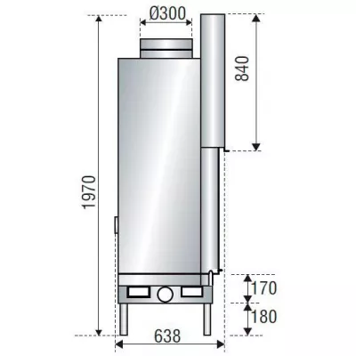 Каминная топка F 1600 SIMPLE FACE WS BLACK BN3 (Axis)