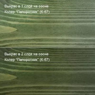 Масло для пола Паркет «ПРО» 1 л Колер Папоротник (К-67)