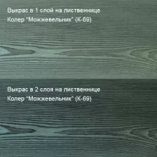 Цветное масло для дерева Биогрунт «ПРО». Антисептик 100 мл Колер Можжевельник (К-69)