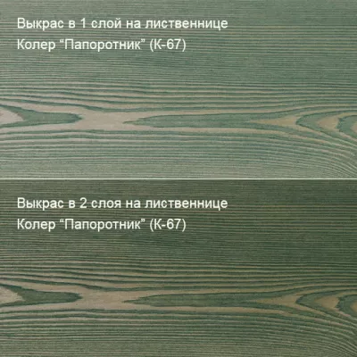 Антисептик БиоГрунт «ПРО» 0,1 л  Колер Папоротник (К-67)