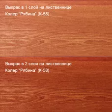 Цветное масло для дерева Биогрунт «ПРО». Антисептик 100 мл Колер Рябина (К-58)