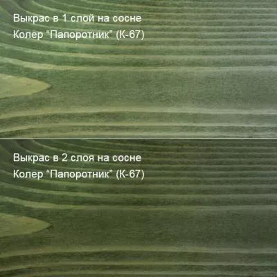 Грунтовочное масло для дерева. Антисептик 2 л Колер Папоротник (К-67)