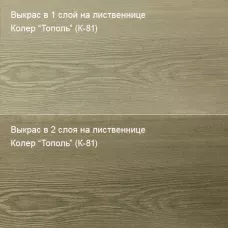 Цветное масло для дерева Биогрунт «ПРО». Антисептик 100 мл Колер Тополь (К-81)